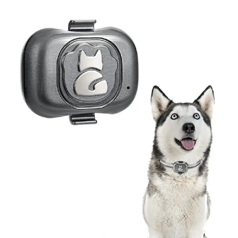 Best Dog Gps Tracker Regular by Purespet 3