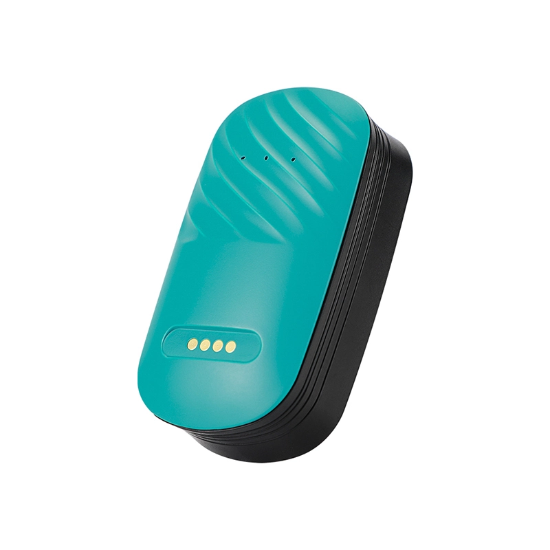 GPS-Tracker-Halsband für Haustiere, 4G, Echtzeit-Positionsverfolgung, GPS-Hunde-Tracker, Aktivitäts- und Fitnessmonitor, wasserdicht, Ton-/Lichtalarm, Fluchtwarnungen1 1