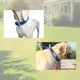 Pet Gps Tracker Dog 2G/4G by Purespet 3