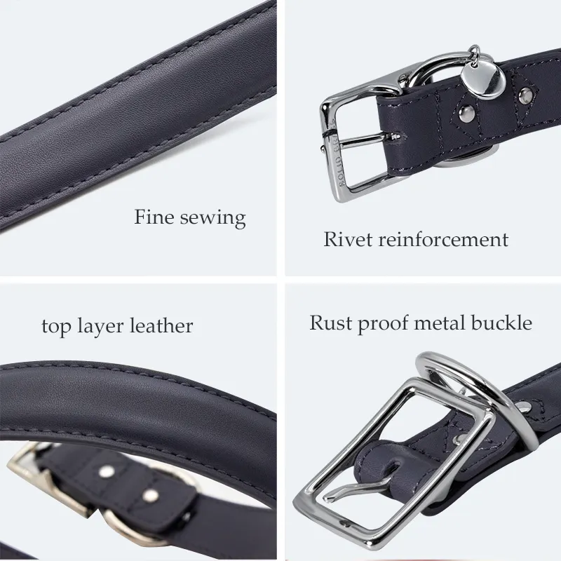 Dog Leashes and Collars for Sale Black - - 3