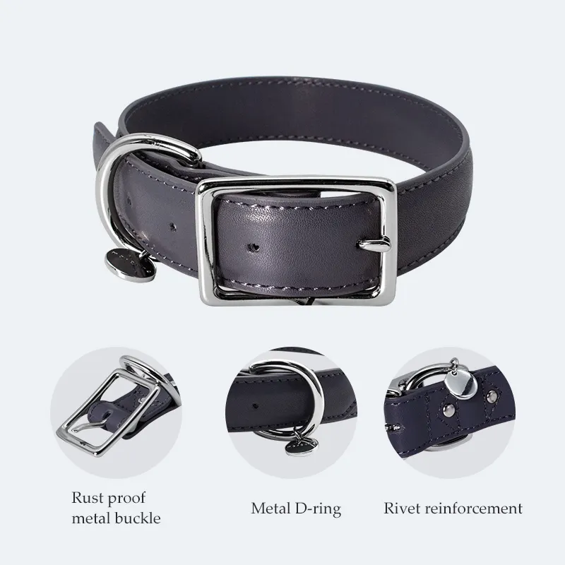 Dog Leashes and Collars for Sale Black - - 2