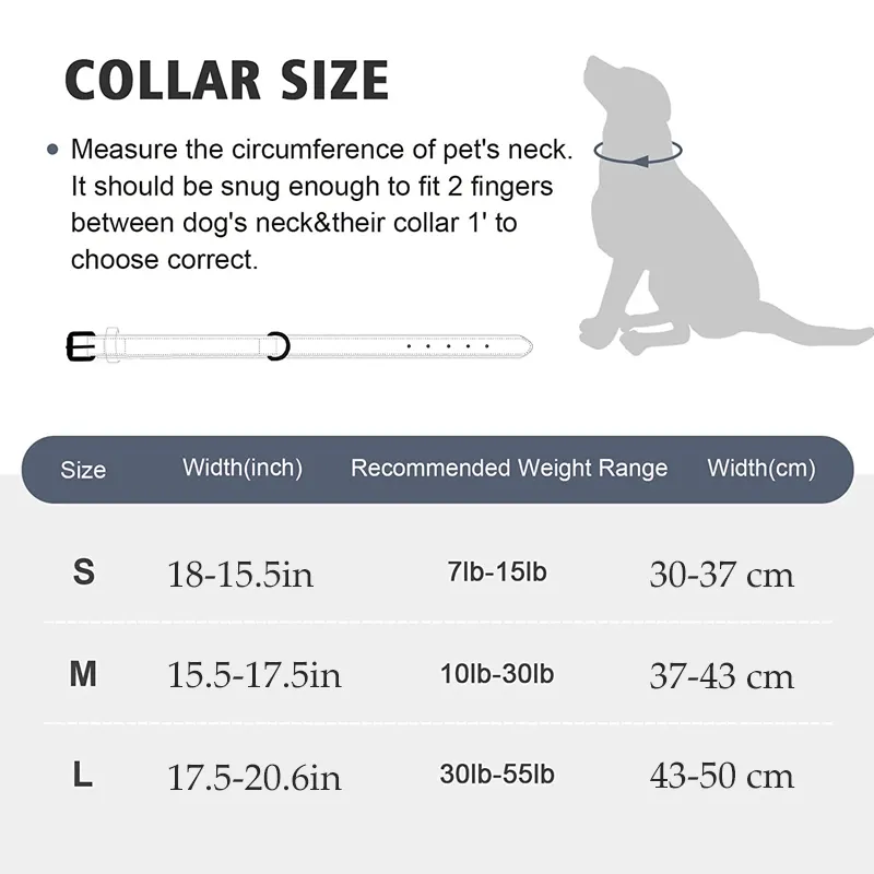 Dog Leashes and Collars for Sale Black - - 4