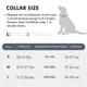 Dog Leashes and Collars for Sale Black - - 4