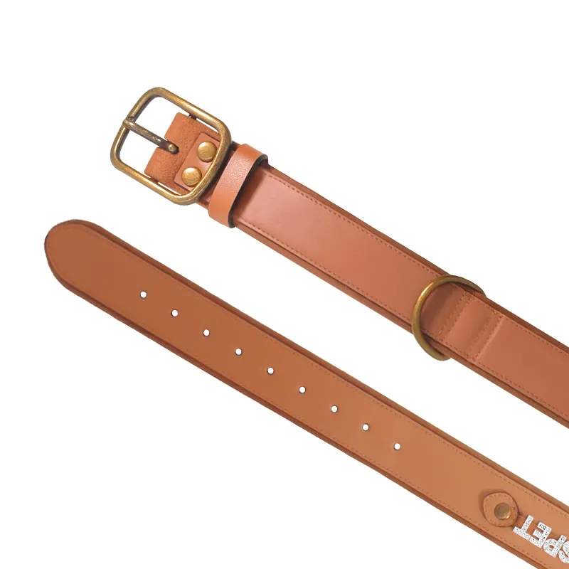 Dog Collar with Name Custom Pet Collar Wholesale - Purespet 5