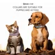 Personalized Dog Collars with Name Price List 2