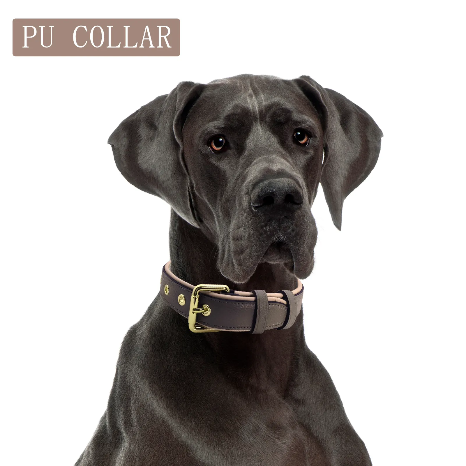 Dog Collar Lead and Harness Set PSP-815 by 2