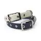 Dog Leash & Collar Price List 2