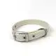 Dog Leash & Collar Price List 5