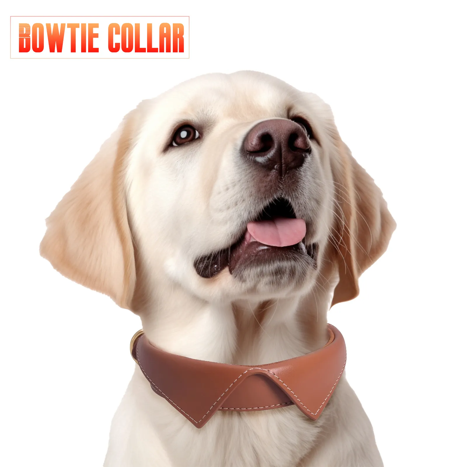 Personalized Dog Collars 25~30 Days Wholesale - 2