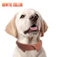 Personalized Dog Collars 25~30 Days Wholesale - 2