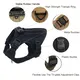 Dog Leash Collar and Harness Set 20~25 Days by 6