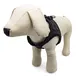 Matching Dog Harness and Leash Price List 4