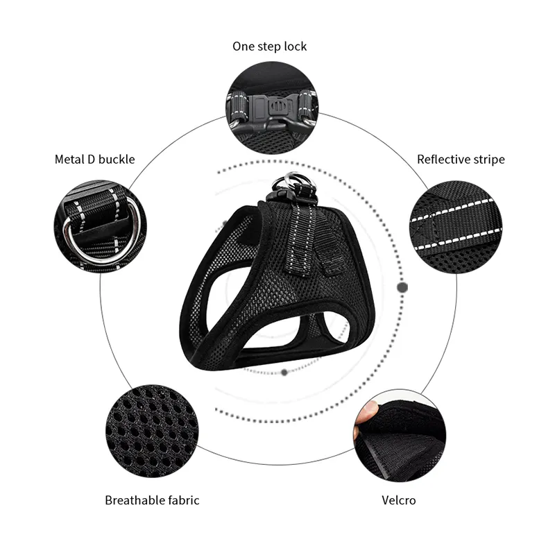 Matching Dog Harness and Leash Price List 5