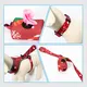 Dog Collar Harness Leash Set 25~30 Days - - 3
