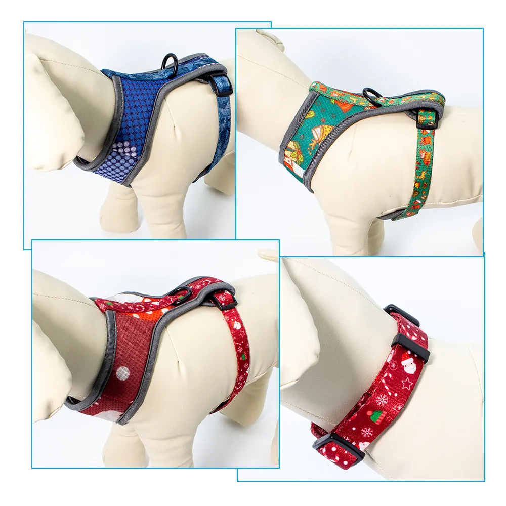 Dog Collar Harness Leash Set 25~30 Days - - 2