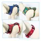 Dog Collar Harness Leash Set 25~30 Days - - 2