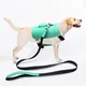 Dog Personalized Harness Online Payment Or T/T (30% Deposit and the Balance Paid Before Shipment) - - 4