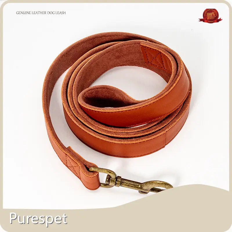 Extendable Dog Lead for Large Dogs Brown - - 1