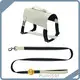 Dog Personalized Harness Online Payment Or T/T (30% Deposit and the Balance Paid Before Shipment) - - 1