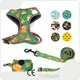 Dog Collar Harness Leash Set 25~30 Days - - 1