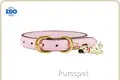 Personalised Puppy Collar Full Grain Cow Leather Wholesale - 1