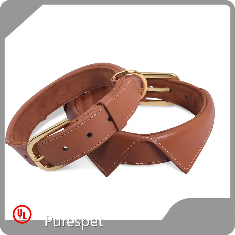 Personalized Dog Collars 25~30 Days Wholesale - 1