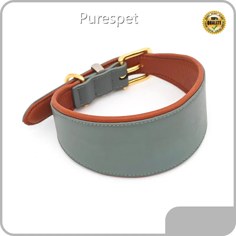 Matching Harness Collar and Leash Set 20~25 Days by 1