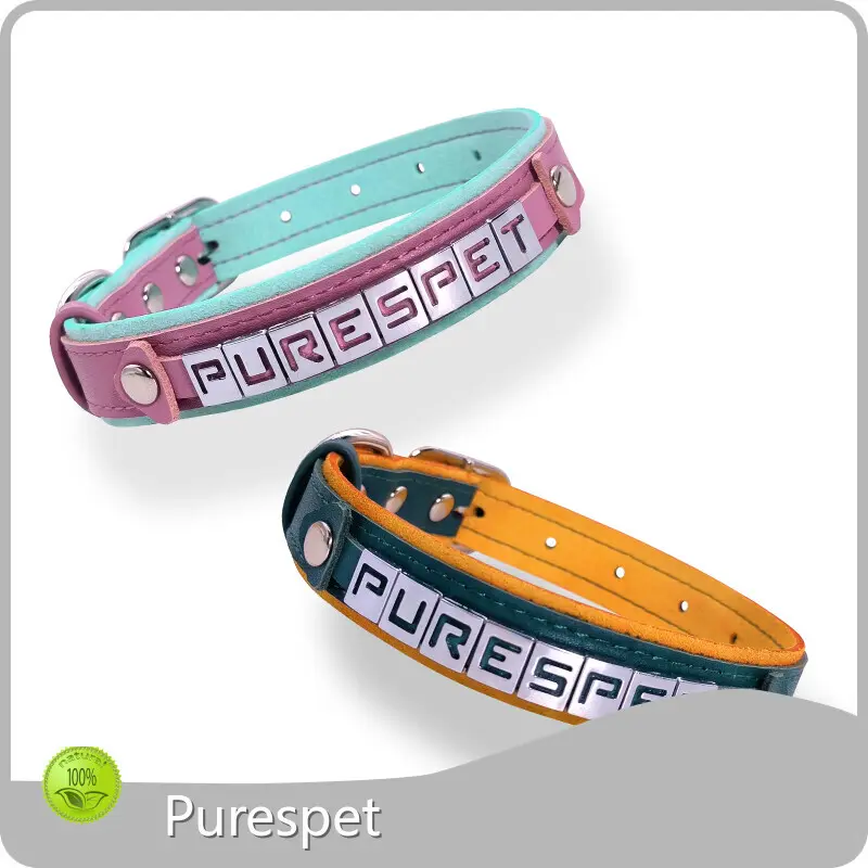 Dog Collar Harness and Leash Set S - - 1