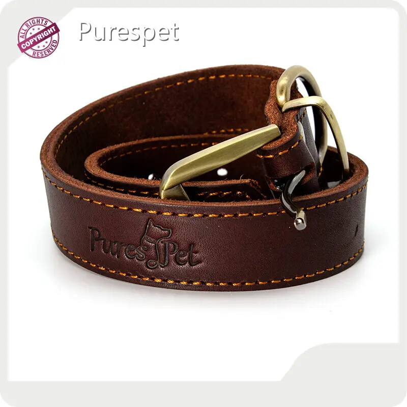 Dog Leads and Leashes Online Payment Or T/T (30% Deposit and the Balance Paid Before Shipment) - - 1
