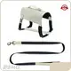 Pet Accessories Manufacturer 20~25 Days Custom Collar-Leash-Harness Wholesale - Purespet 1