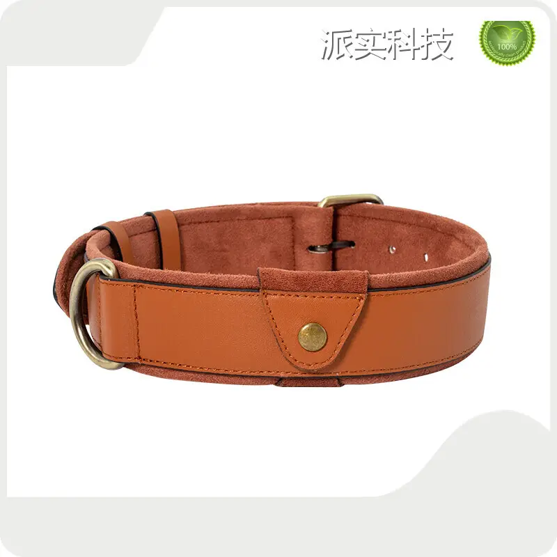 Airtag Dog Collar AirTag Collar Wholesale - Purespet 1
