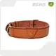 Airtag Dog Collar AirTag Collar Wholesale - Purespet 1