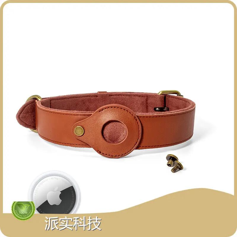Best Airtag Dog Collar by Purespet 1