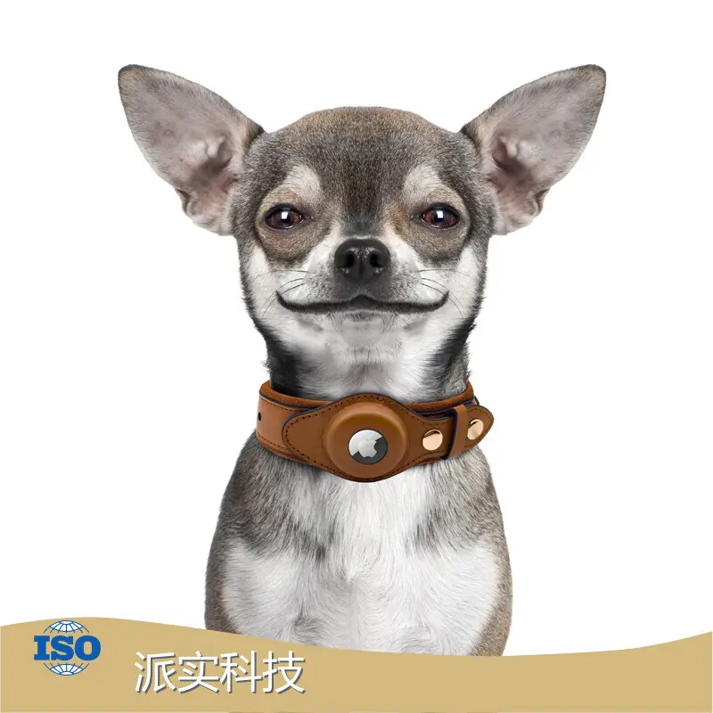 Cat Collar with Airtag Holder AirTag Collar Wholesale - Purespet 1