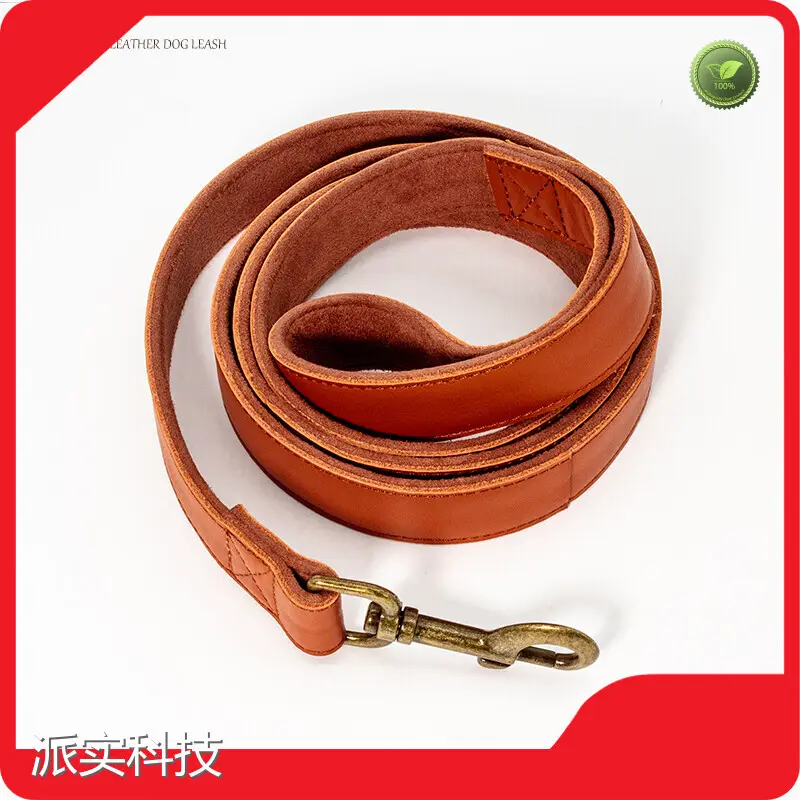 Custom Dog Slip Leash Custom Pet Leash Wholesale - Purespet 1
