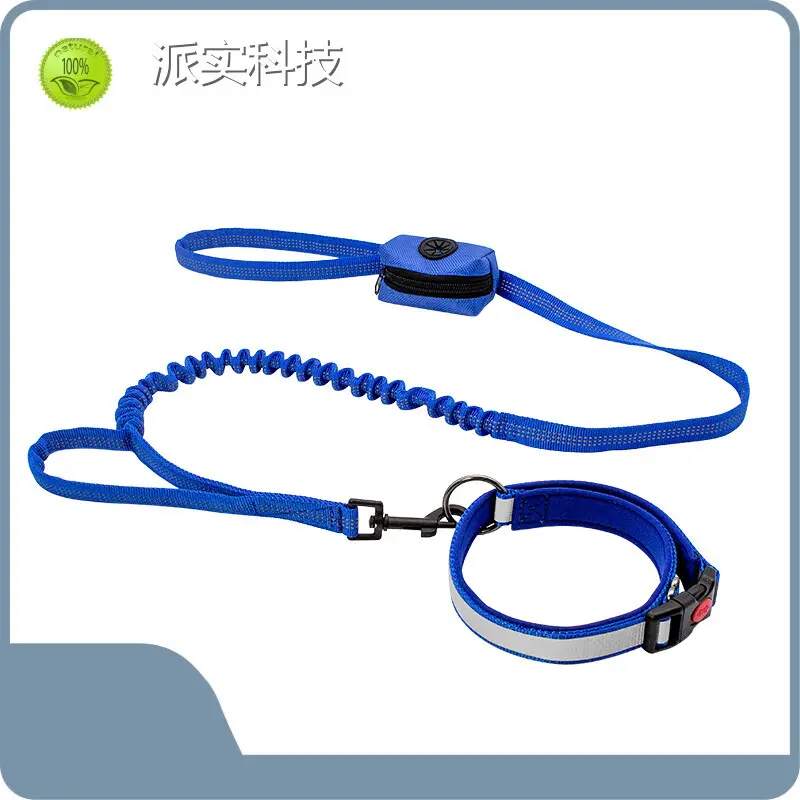 Personalized Leather Dog Leash by Purespet 1