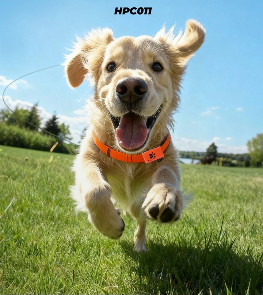 Pet Health Monitoring Device Factory, Real-Time Pet Health Monitor, AI Pet Health Tracker, Activity and Fitness Monitor, Pet BCG, Escape Pet HRV Tracker-PHH-11 1