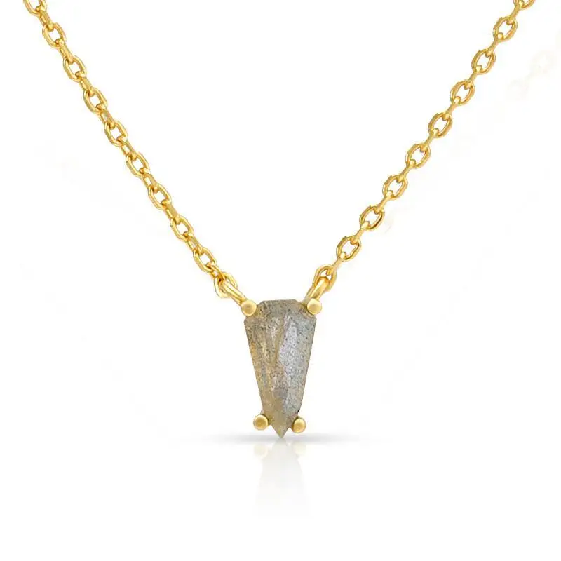 Special-shaped Labradorite Necklace 1