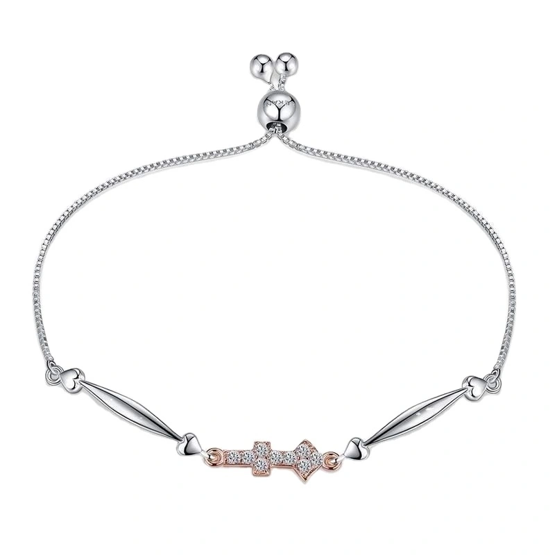 Joacii Sterling Silver Bracelet Twelve Constellations Sagittarius Charm Bracelet with CZ 1