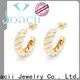 Joacii huggie hoop earrings supplier for girlfriend 1
