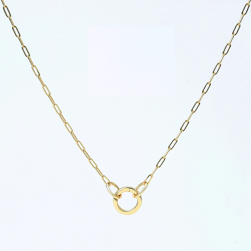 Paperclip Chain Charm Necklace 1