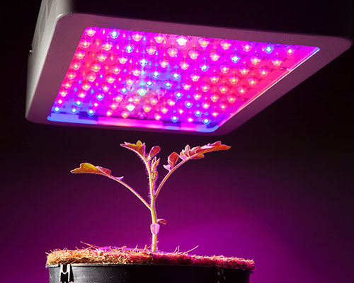 customized led cob 10w company for sale 7