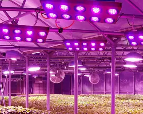 Learnew hot-sale cob power led factory for promotion 8