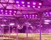 Learnew hot-sale cob power led factory for promotion 8