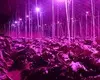 Learnew hot-sale cob power led factory for promotion 9