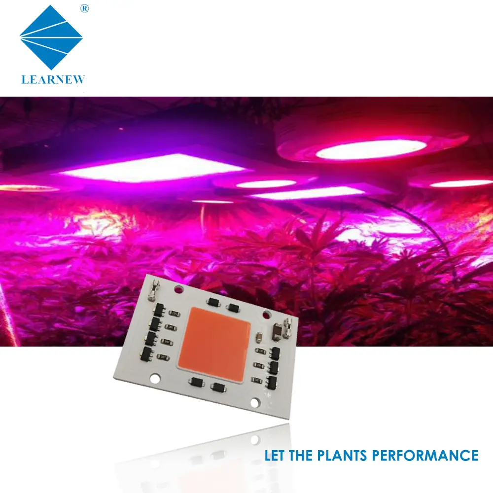 OEM ODM 200V 240V 30W 50W high quality customized COB Chip lighting 4046 AC LED COB 1