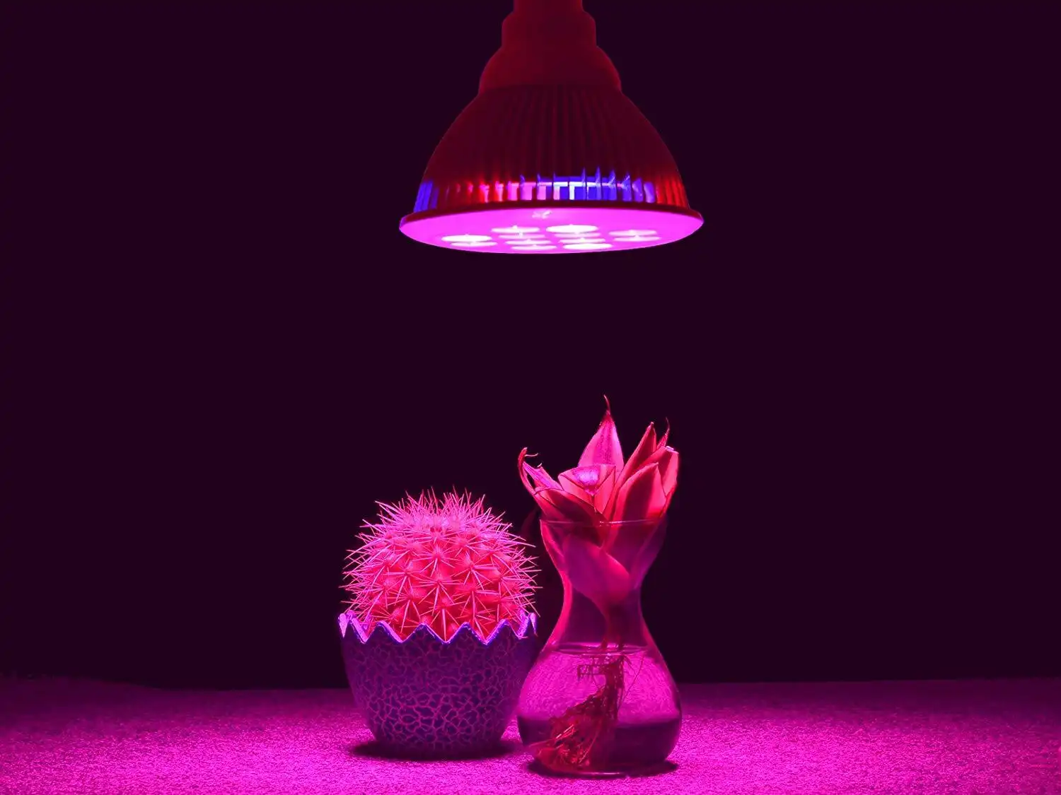 Learnew factory price grow led best supplier bulk buy 3