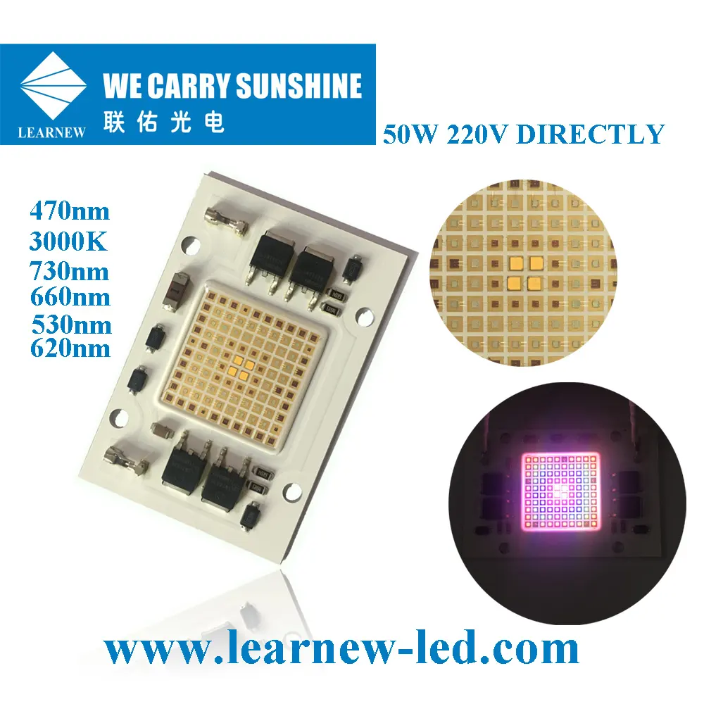 Learnew Array image214