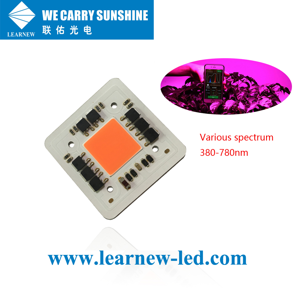 LEARNEW OEM ODM Kostenleistung geringer thermischer Widerstand 380-780 nm 100 W Grow-LED-Kolben für Grow-Lampe 3