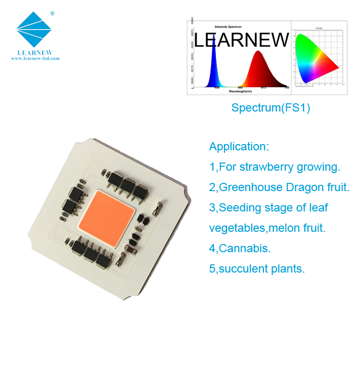 LEARNEW OEM ODM Kostenleistung geringer thermischer Widerstand 380-780 nm 100 W Grow-LED-Kolben für Grow-Lampe 2